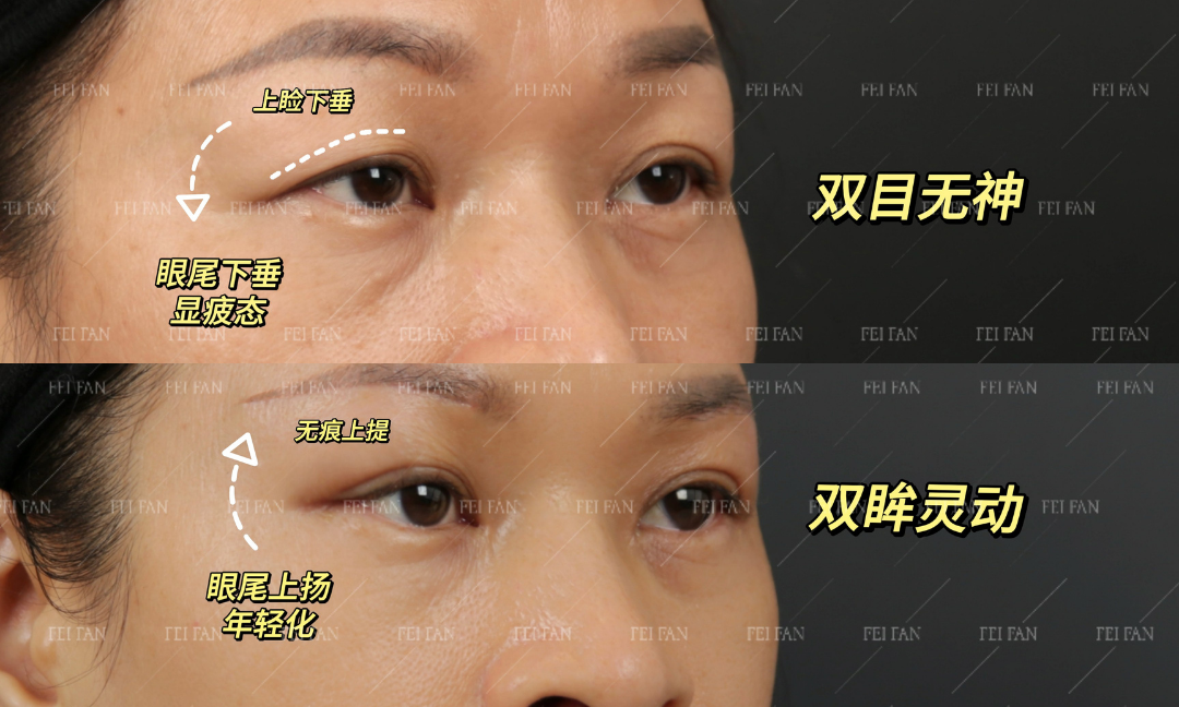 非凡網站 (36)